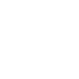 Visolab